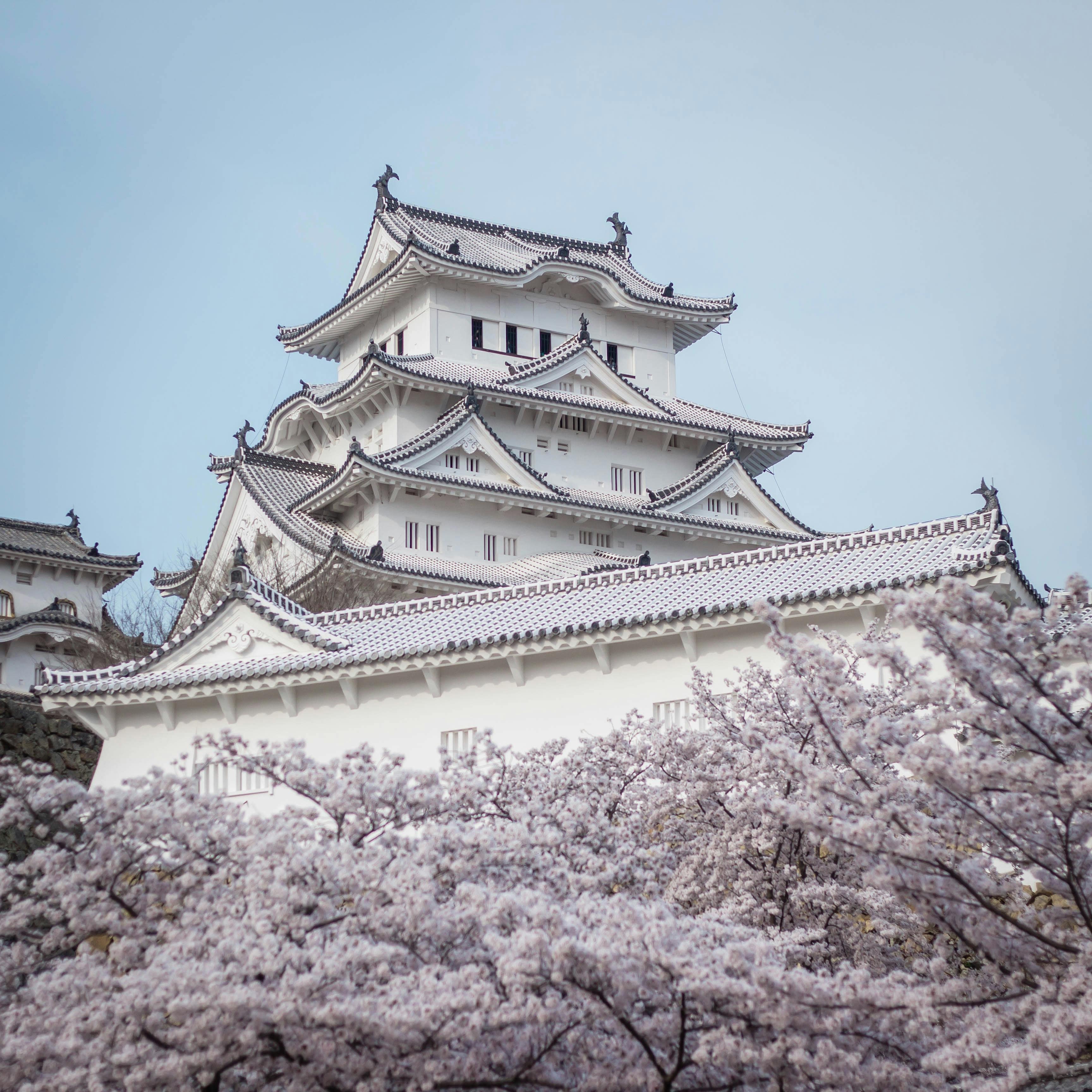 Transport you to the enchanting landscapes where nature and architecture harmonize. Book today for a journey through the picturesque charm of Japan.