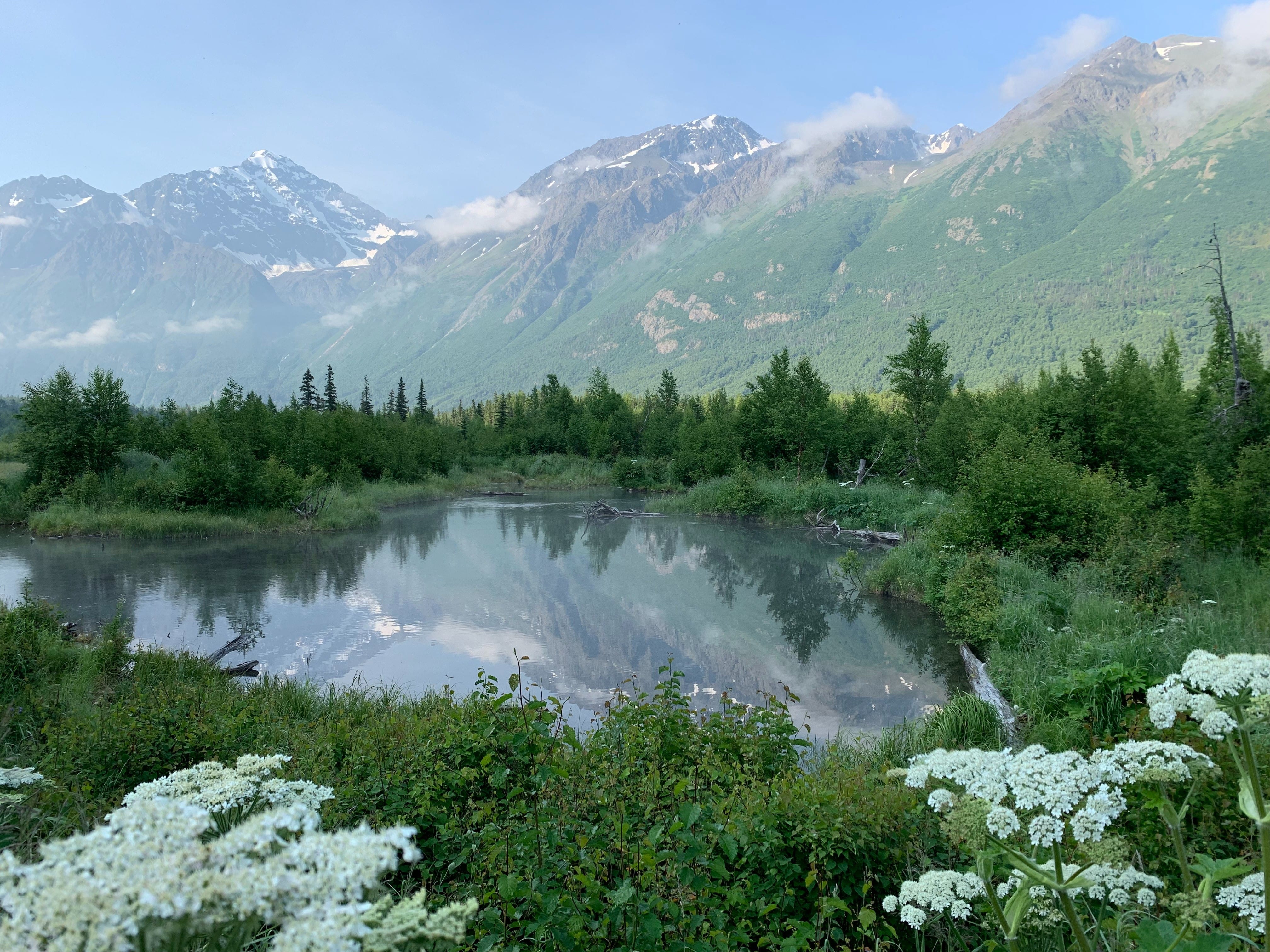 Explore the best of Alaska on your 6-day journey. Witness beautiful terrain of Alaska.