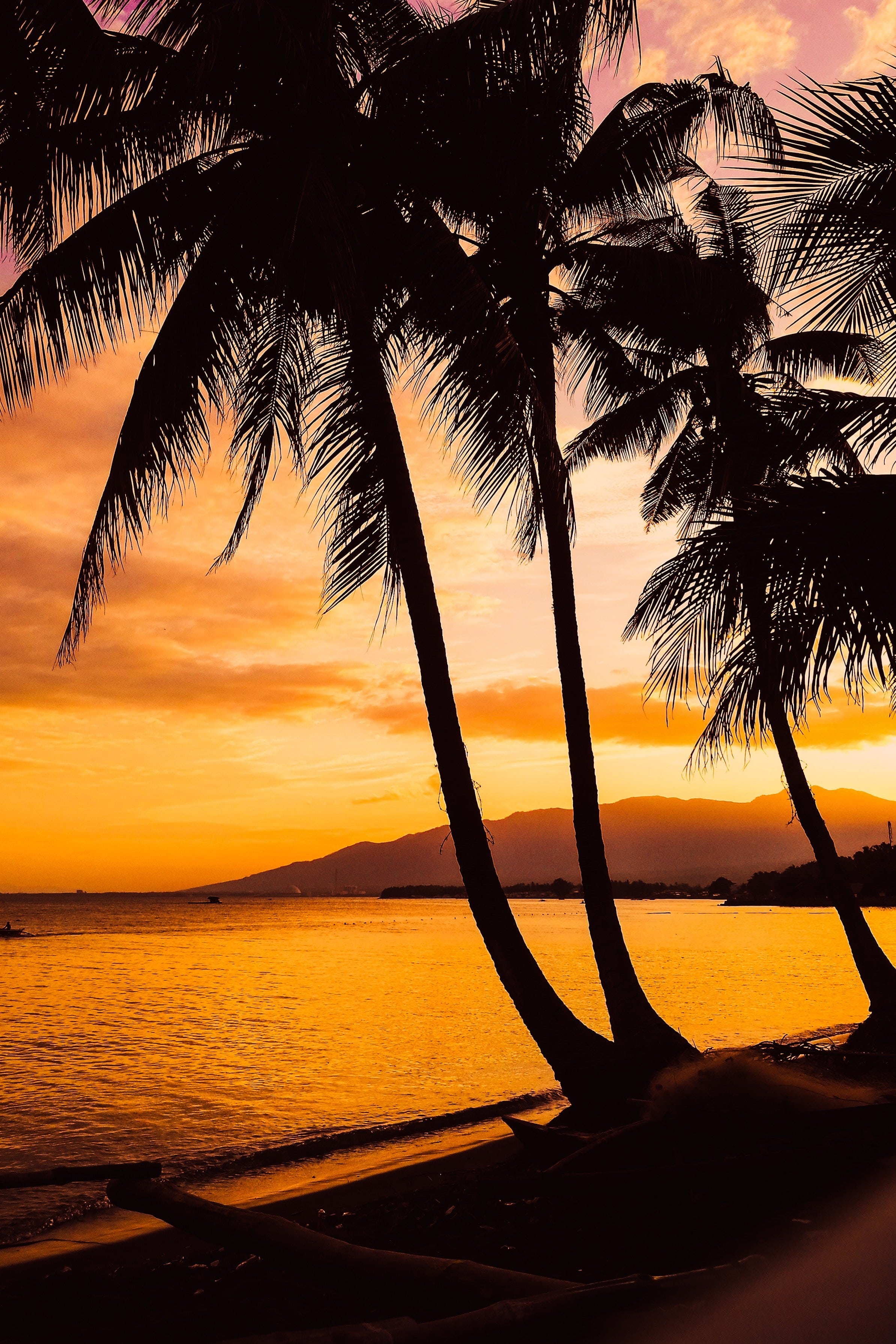 Capture the serenity of a beach sunset, where palm trees sway in the gentle breeze. Let DREW TRAVEL paint your perfect evening.